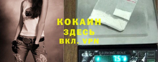 молекула духа Балахна