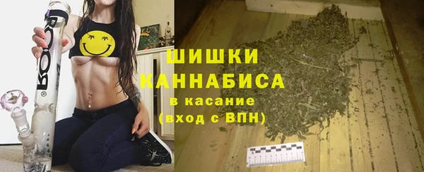 молекула духа Балахна