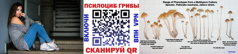 Псилоцибиновые грибы ЛСД Отрадная